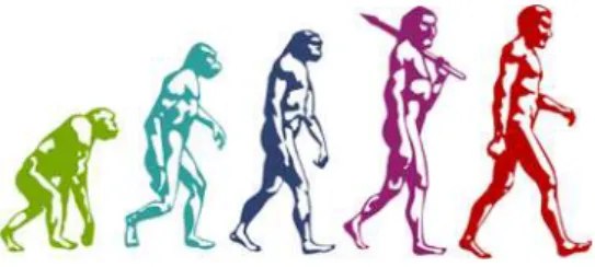 Figura 3. Rappresentazione dell‟evoluzione umana. Tratta da:  http://giacintobutindaro.org/wp- http://giacintobutindaro.org/wp-content/uploads/2010/05/evoluzione_R375.jpg  (ver