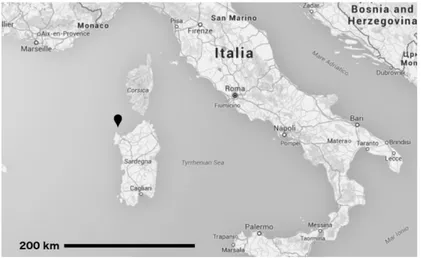 Fig, 1. Geographical position of Asinara Island in Italy. Source: processing of the authors from Google Maps, 2015
