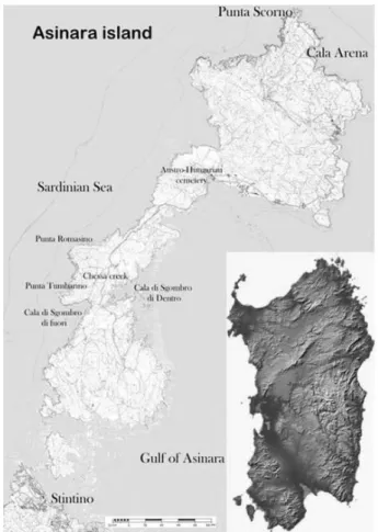 Fig. 2. Geographical position of Asinara Island in Sardinia (IT). Source: processing of the authors from Ginesu et al