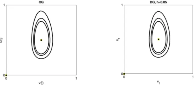 Fig.  3.1. Fixed point E  ∗ and three closed invariant curves for the CG (left panel) and DG (right panel) model obtained from the following initial conditions (0.4,0.4), (0.6,0.6) 