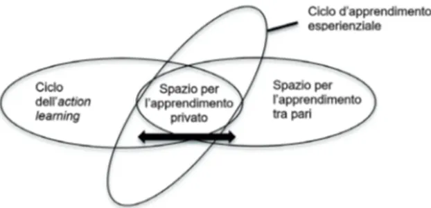 Figura 3 – Modello del Peer-Supported Action Learning tratto da Lee, Irving &amp; Francuz  (2014)