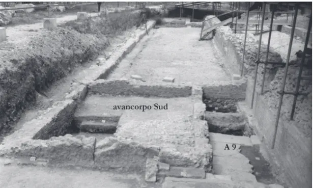 Fig. 29 - Scalinata frontale inferiore, avancorpo Sud ed Ambiente 9, da Sud. 