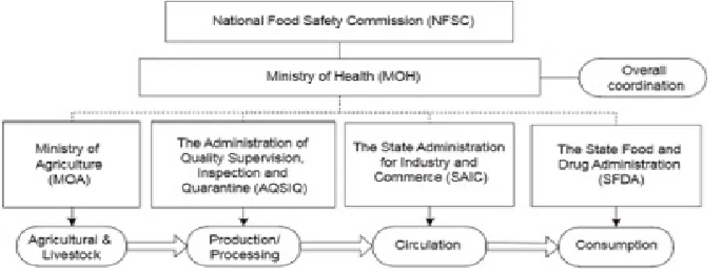 Fig. 2: Le autorità governative cinesi attualmente coinvolte nella supervisione e gestione della 