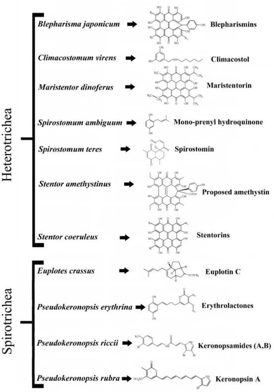 Figure 1. Relevant secondary metabolites with biological activities produced by ciliated protists