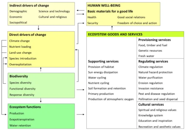 Figure 1. Drivers of changes in biodiversity, ecosystem services, and human well-being