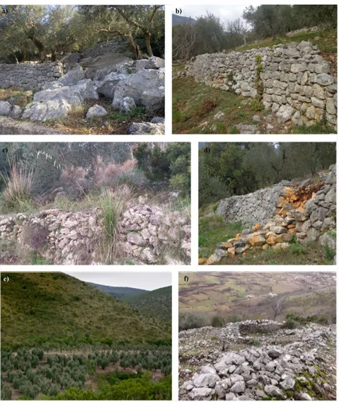 Figure 2. Terraced landscape in southern Latium, central Italy: (a) specialized olive groves and (b)  poly-cultural olive groves (mainly associated with grapevine, fruit trees, citrus trees, pomegranade  or carob tree) representative of steep slopes; (c) w