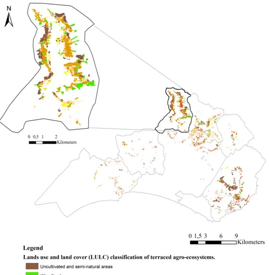 Figure 4.  Map of recent (2012) land use and cover of terraced agro-ecosystems in the study area,  southern Latium, central Italy