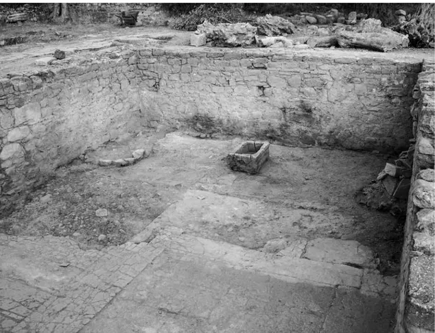 Fig. 9 - Il Vano 53, da NE (© Scuola Archeologica Italiana di Atene)