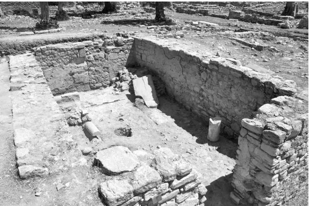 Fig. 13 - Il Vano 50, da SW (© Scuola Archeologica Italiana di Atene)