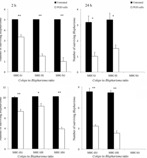 Figure 2. Effect of pigment granule removal in cells of Blepharisma japonicum, Blepharisma stoltei and Blepharisma undulans, obtained by cold- cold-shock treatment, on the predator–prey interaction against Coleps hirtus