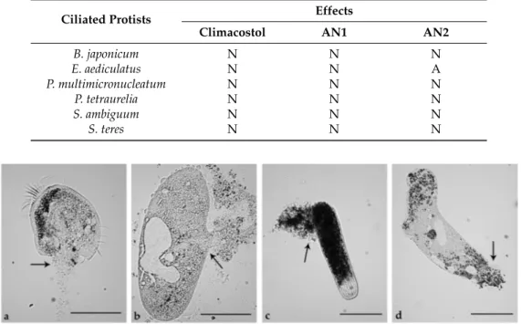 Table 5. Cytotoxic effects of climacostol, AN1, or AN2 on five species of ciliated protists