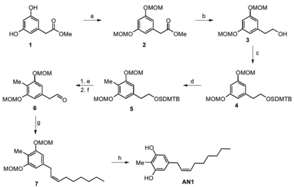Figure 2. Total synthesis of the AN1 analogue: a) MOM-Cl, DIPEA, DCM, 0 °C to r.t., o.n., 74%; b)  LiAlH 4 , THF, 0 °C, 94%; c) DIPEA, TBDMSCl, DMF, o.n., 96%; d) BuLi, THF, −78 °C, 1 h, then MeI, 