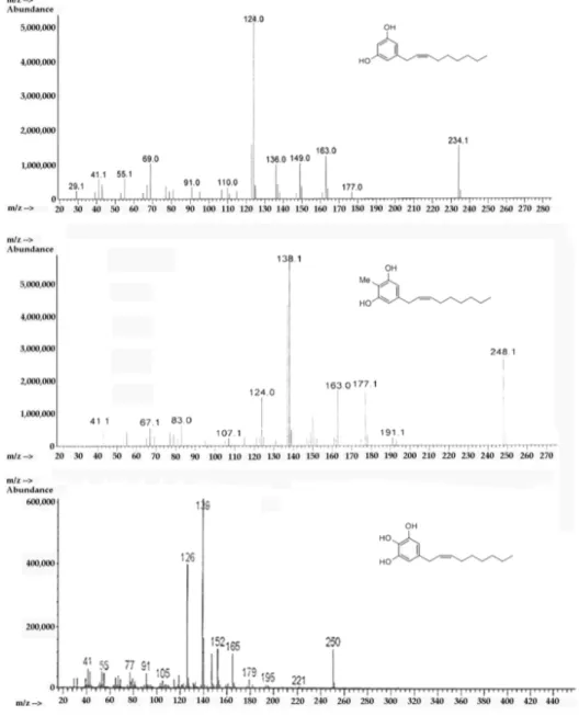 Figure 7. EI-MS spectra of (top) climacostol, (middle) AN1, and (bottom) AN2. 