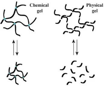 Figure 1.1 difference between chemical and physical gels. Figure taken form the paper of Peters and Davis, 2016 “Supramolecular gels 