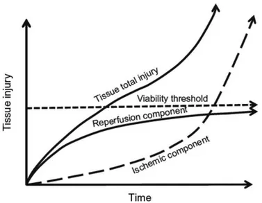 Fig. 1.6: Total injury sustained by a tissue subjected to I/R.  Tissue injury and/or death  occur  as  a  result  of  the  initial  ischemic  insult  due  to  the  magnitude  and  duration  of  the  interruption  in  the  blood  supply,  and  then  subsequ