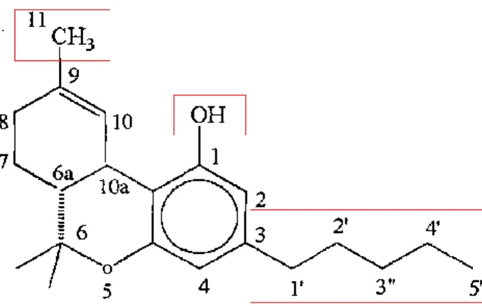 Figura  2:  Rappresentazione  del   9 -THC:  i  riquadri  evidenziano  i  siti  molecolari 