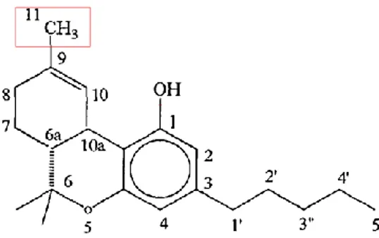 Figura 3: Struttura molecolare del composto HU-210, caratterizzato dalla presenza di un  gruppo ossidrilico in posizione C 11  e da una catena 1’,1’-dimetileptilica