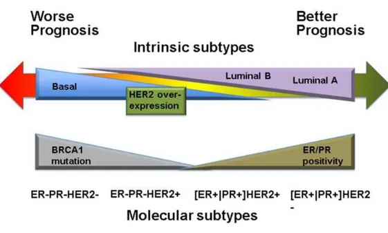 Figure 1. Patient outcome based on breast tumor intrinsic subtypes. 