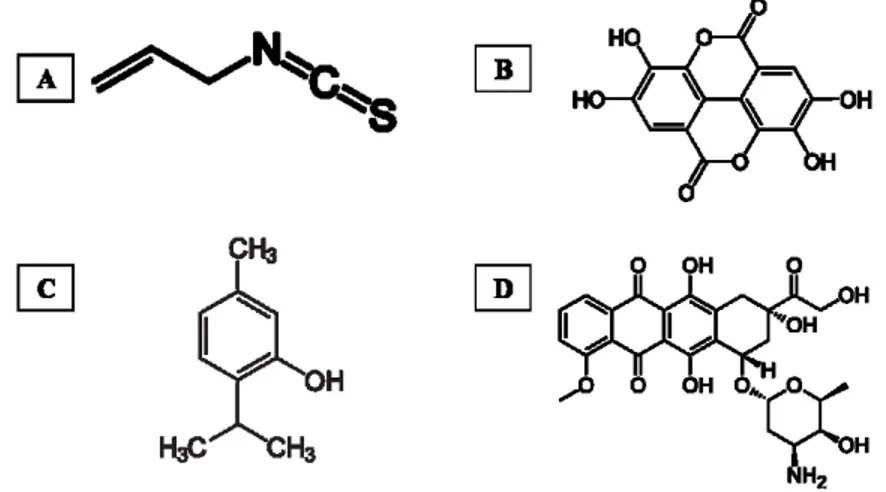 Figure 2. Chemical structure of AITC (A), EA (B), thymol (C), and DOX (D). 