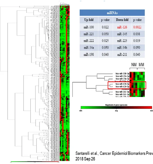 Figure 13: MiRNA profile in malignant pleural mesothelioma 