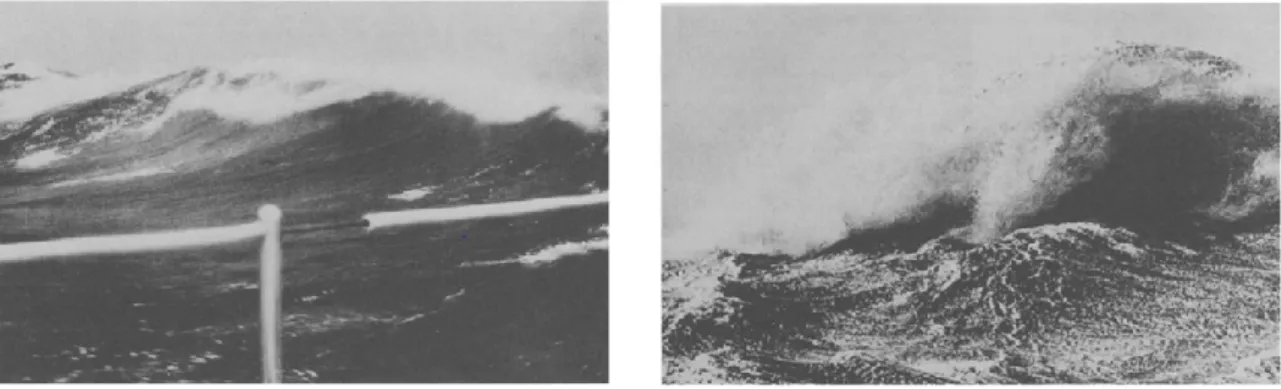 Figure 4. Breaking wave in deep ocean. Left panel: spilling breaking wave. Right panel: plunging breaking  wave