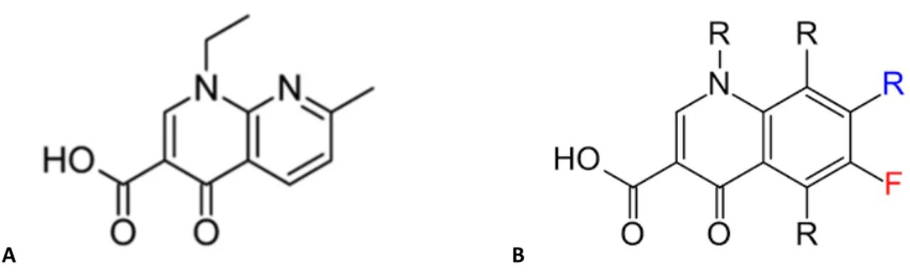 Figura 7. A acido nalidixico, B, fluorochinolone. 
