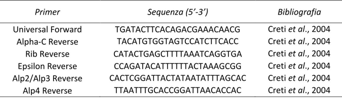 Tabella 6. Primer utilizzati per la determinazione delle proteine di superficie di S. agalactiae