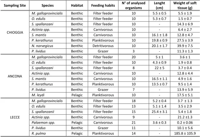 Table 3.1 Species, habitat, feeding mode, number of analysed specimens and morphometric parameters of invertebrates collected in  the  North  (Chioggia),  Center  (Ancona)  and  South  (Lecce)  Adriatic  Sea
