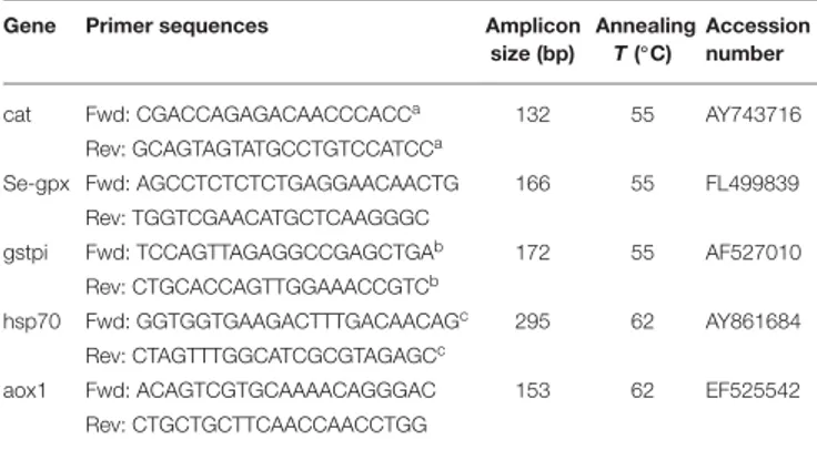 TABLE 1 | Primer pair sequences, amplicon size, annealing temperatures, and Genbank accession numbers of genes analyzed in quantitative PCR in the digestive gland of mussels.