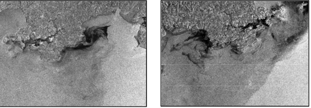 Figura 2b - A destra, immagine radar proveniente dal satellite ERS, dell’agenzia Spaziale Europea, a  sinistra immagine radar fornita dalla stazione spaziale canadese RADARSAT