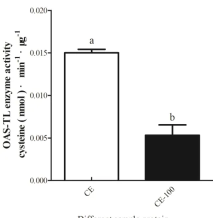 Fig. 4-16. OAS-TL activity per unit of protein in crude and diluted extracts of Synechocystis  sp