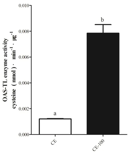 Fig. 4-18. OAS-TL activity per unit of protein in crude and diluted extracts of  Chlamydomonas reinhardtii cultured in TP medium