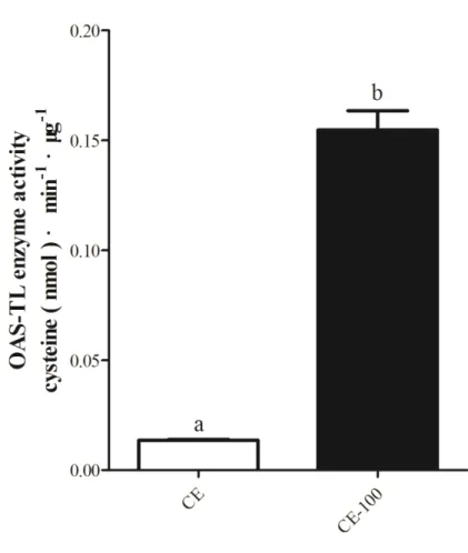Fig. 4-21. OAS-TL activity per unit of protein in crude and diluted extracts of Thalassiosira  pseudonana