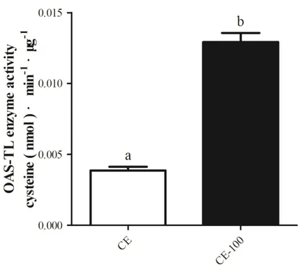 Fig. 4-22. OAS-TL activity per unit of protein in crude and diluted extracts of Phaeodactylum  tricornutum