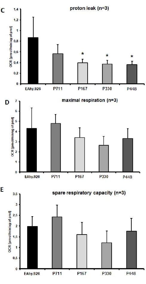 Figure 10. Seahorse XF Cell Mito Stress Test parameters in EAhy.926 and NNMT  silenced  lines