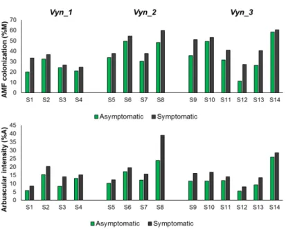 Figure 2  – AMF colonization (%M) and arbuscular abundance (%A) 