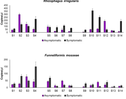 Figure  5  –  Amount  results  of  R.  irregularis  and  F.  mosseae 
