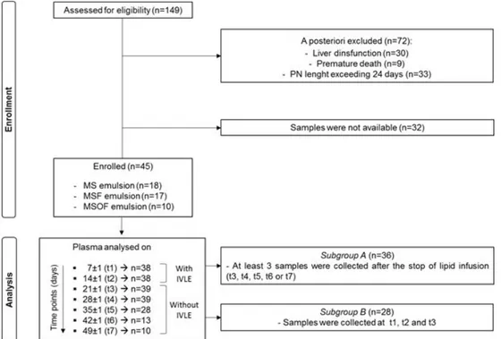 Figure  2.  Flow  diagram  of  the  study’s  progress,  detailing  participant  numbers  during 