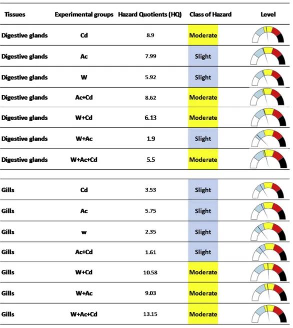 Figure 4.1 - Weight of Evidence (WOE) classification of biomarkers data, in scallops exposed to different laboratory conditions