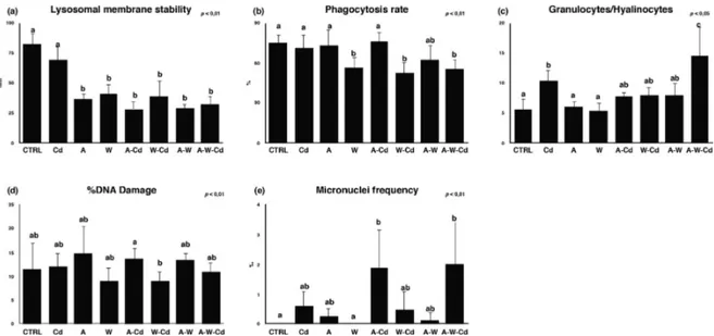 Fig. 4. Lysosomal membrane stability (a), phagocytosis rate (b), granulocytes/hyalinocytes ratio (c), DNA damage (d) and frequency of micronuclei (e) in haemocytes of mussels exposed to various treatments