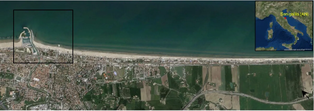 Figure 2-1. Satellite view of the unprotected coast near Senigallia. The up-right box shows the location of  Senigallia Beach
