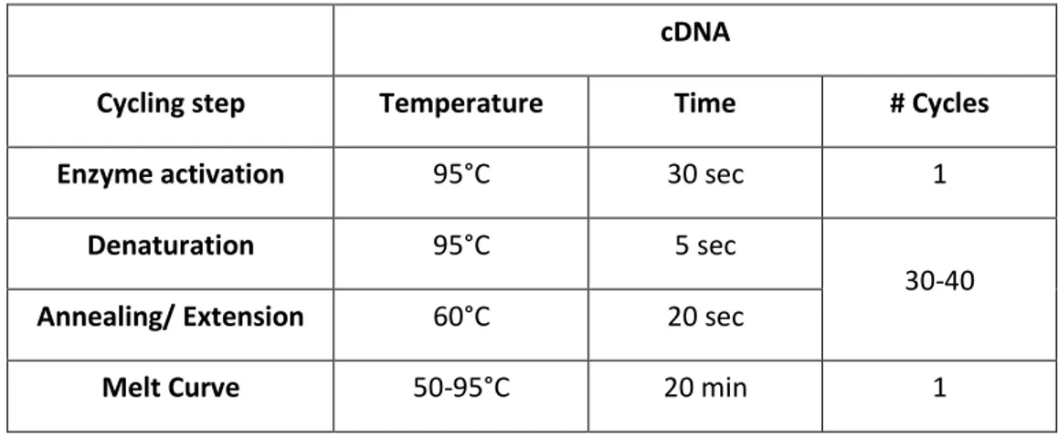 Table 1. Amplification program for RT-PCR 