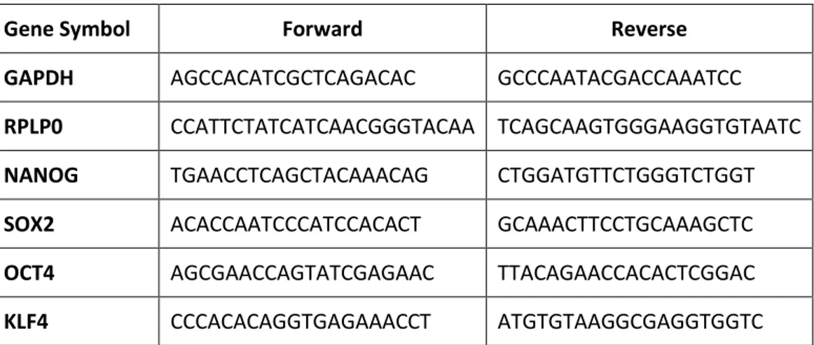 Table 2. Primer sequences related to stemness genes. 
