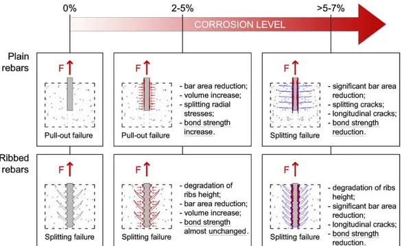 Figure 2.8 - Scheme of the influence of corrosion on bond performance for plain and ribbed  reinforcing bars 