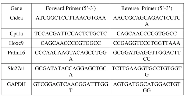 Table 2. Nucleotide sequences of primers used for real-time RT-PCR amplification 