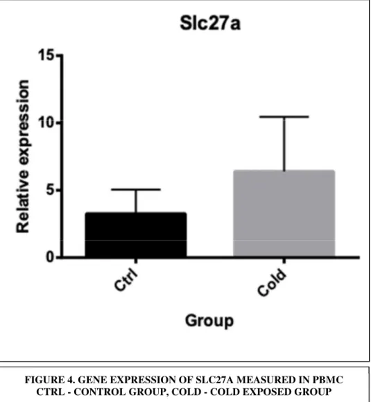 FIGURE 4. GENE EXPRESSION OF SLC27A MEASURED IN PBMC   CTRL - CONTROL GROUP, COLD - COLD EXPOSED GROUP 