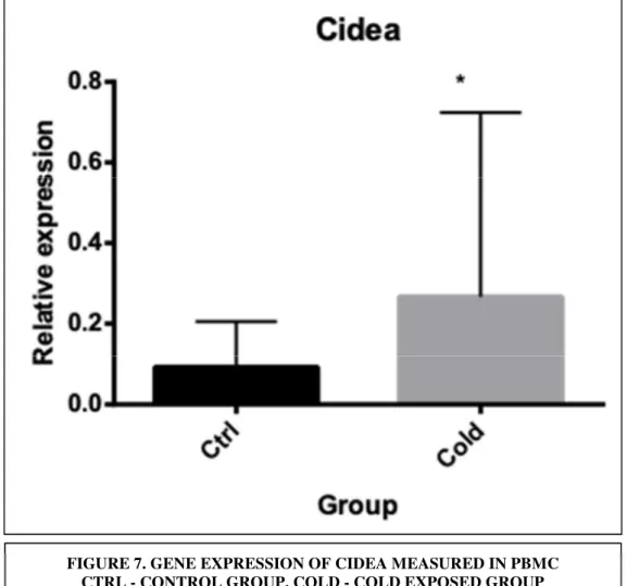 FIGURE 7. GENE EXPRESSION OF CIDEA MEASURED IN PBMC   CTRL - CONTROL GROUP, COLD - COLD EXPOSED GROUP 