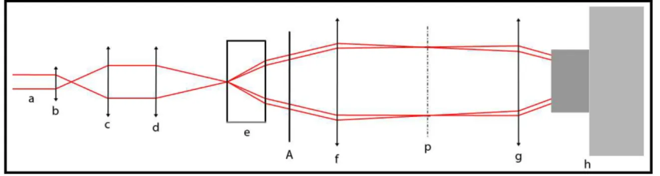 Fig. 4. 2: Set up of the laser polariscope for the conoscopic technique. (a) the starting laser beam of coherent monochromatic  polarized light represented as a pair of parallel lines is enlarged by a beam expander system composed by the two  converging-di