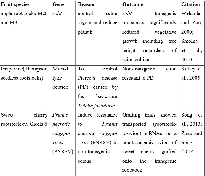 Table 3. Applications of trans-grafting in woody fruit species 