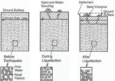 Figura  1-1  rappresentazione  schematica  dei  fenomeni  di  innesco  ed  evoluzione  della  liquefazione in terreni omogenei sabbiosi